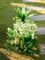 14 Bunches Fake Plants Outdoor, Fake Bushes UV Resistant Artificial Flowers Greenery Shrubs Faux Greenery for Outdoor Garden Patio Front Porch Yard Decor
